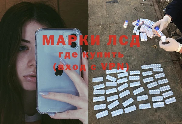 прущие грибы Вяземский
