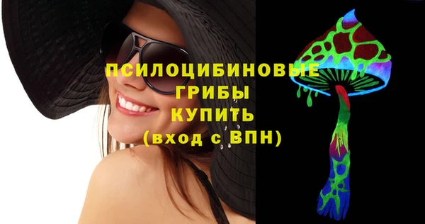 ПСИЛОЦИБИНОВЫЕ ГРИБЫ Вязники