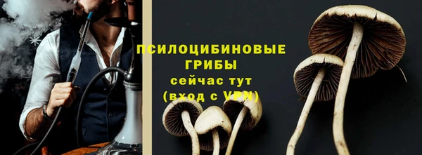 прущие грибы Вяземский