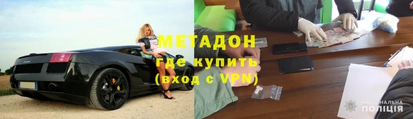прущие грибы Вяземский