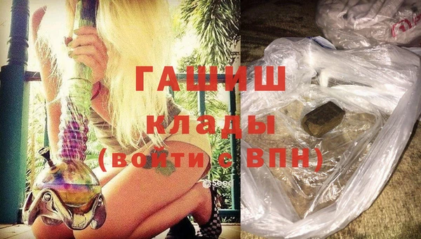 прущие грибы Вяземский