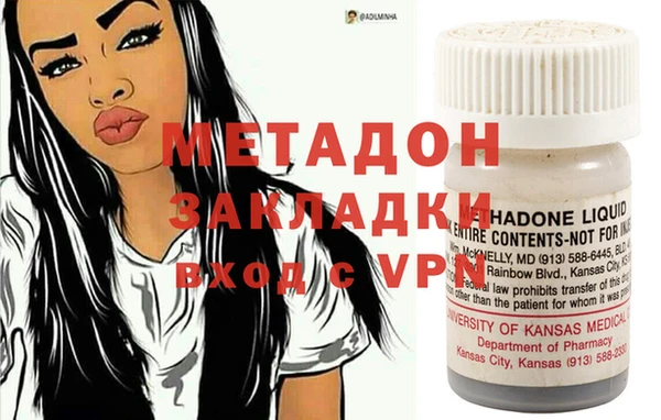 прущие грибы Вяземский