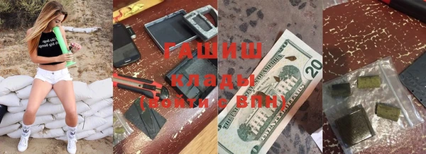 ПСИЛОЦИБИНОВЫЕ ГРИБЫ Вязники