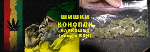 прущие грибы Вяземский
