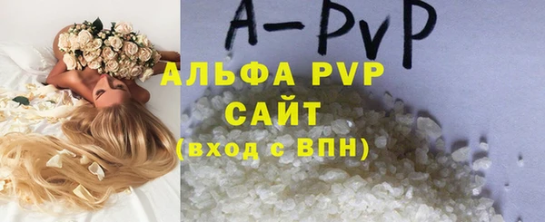 ПСИЛОЦИБИНОВЫЕ ГРИБЫ Вязники