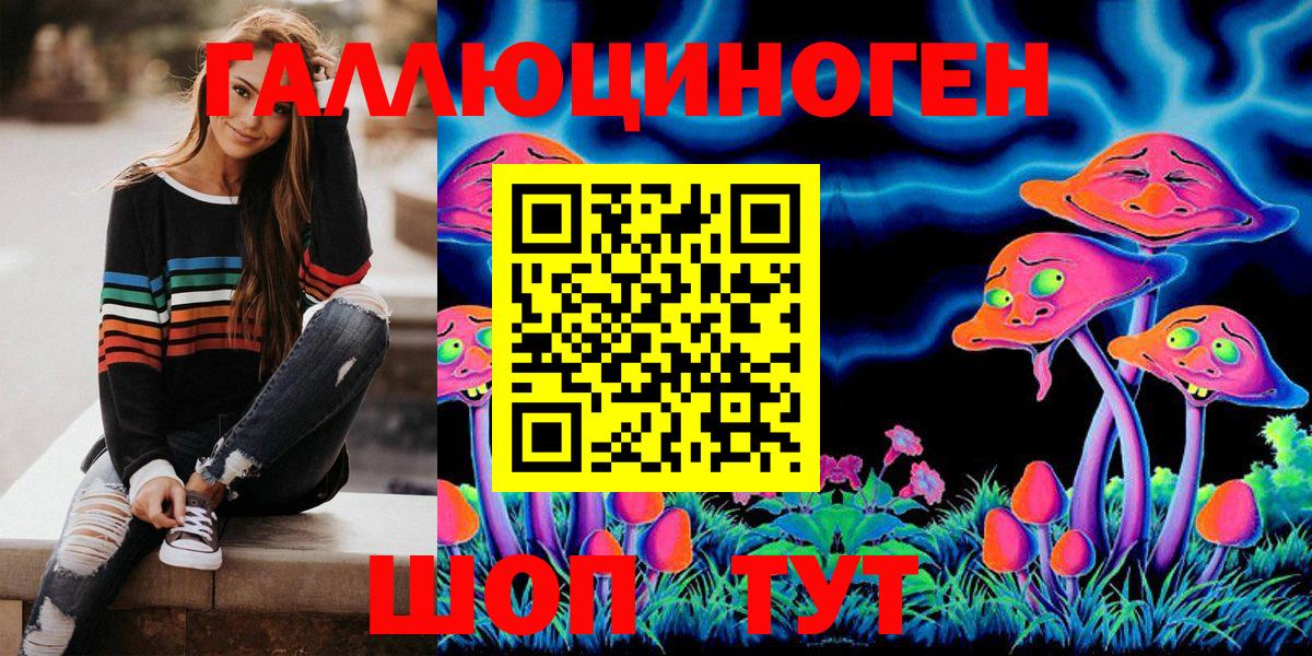 Псилоцибиновые грибы Psilocybe Казань