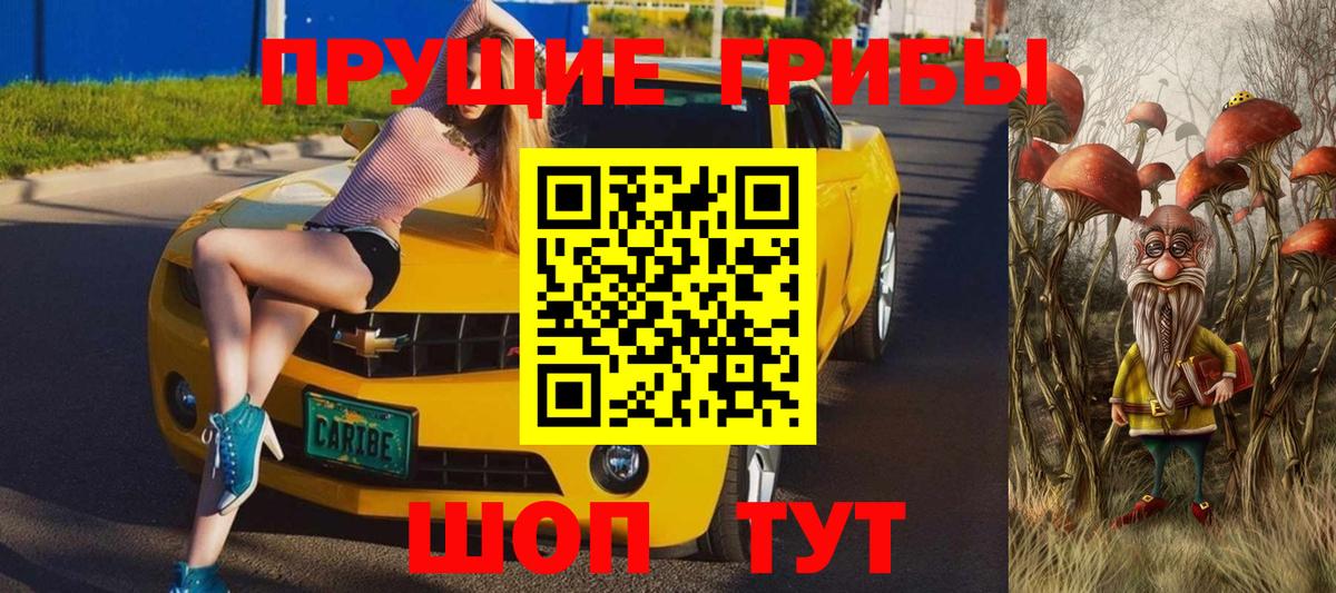 купить наркоту  Вход с VPN  Псилоцибиновые грибы Cubensis  Казань  Псилоцибиновые грибы прущие грибы 